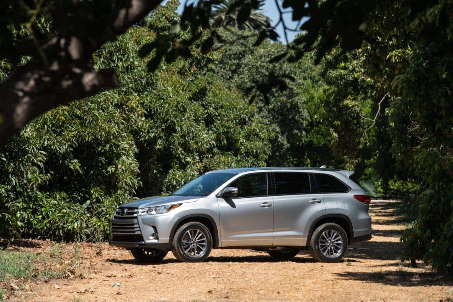 2019 Toyota Highlander in Little Rock, AR | Landers Toyota