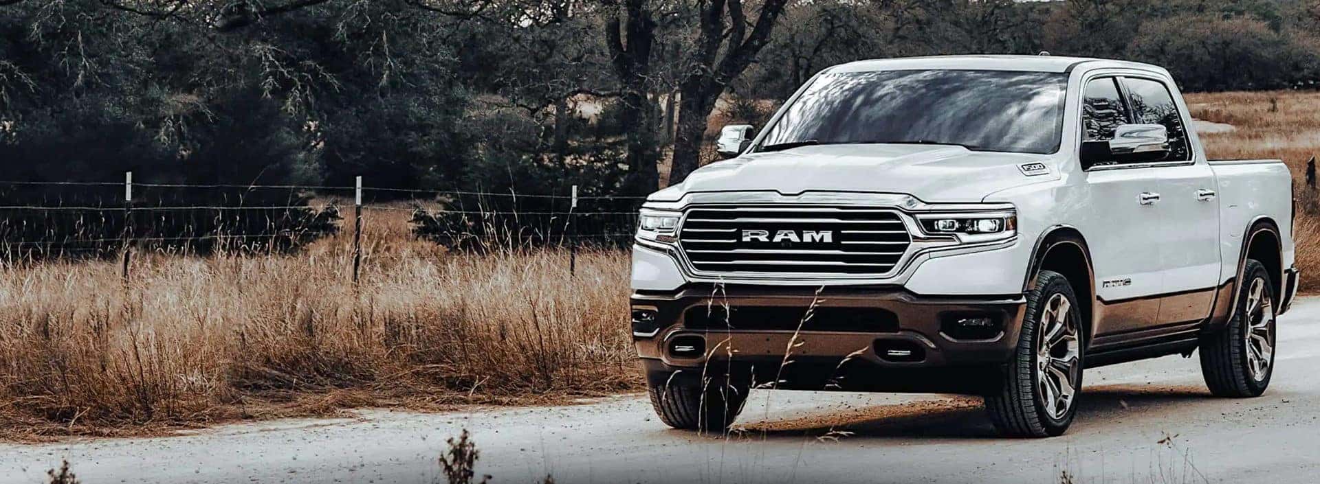 white 2022 ram in country