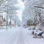 Best Mazda SUVs for Lake-Effect Snow