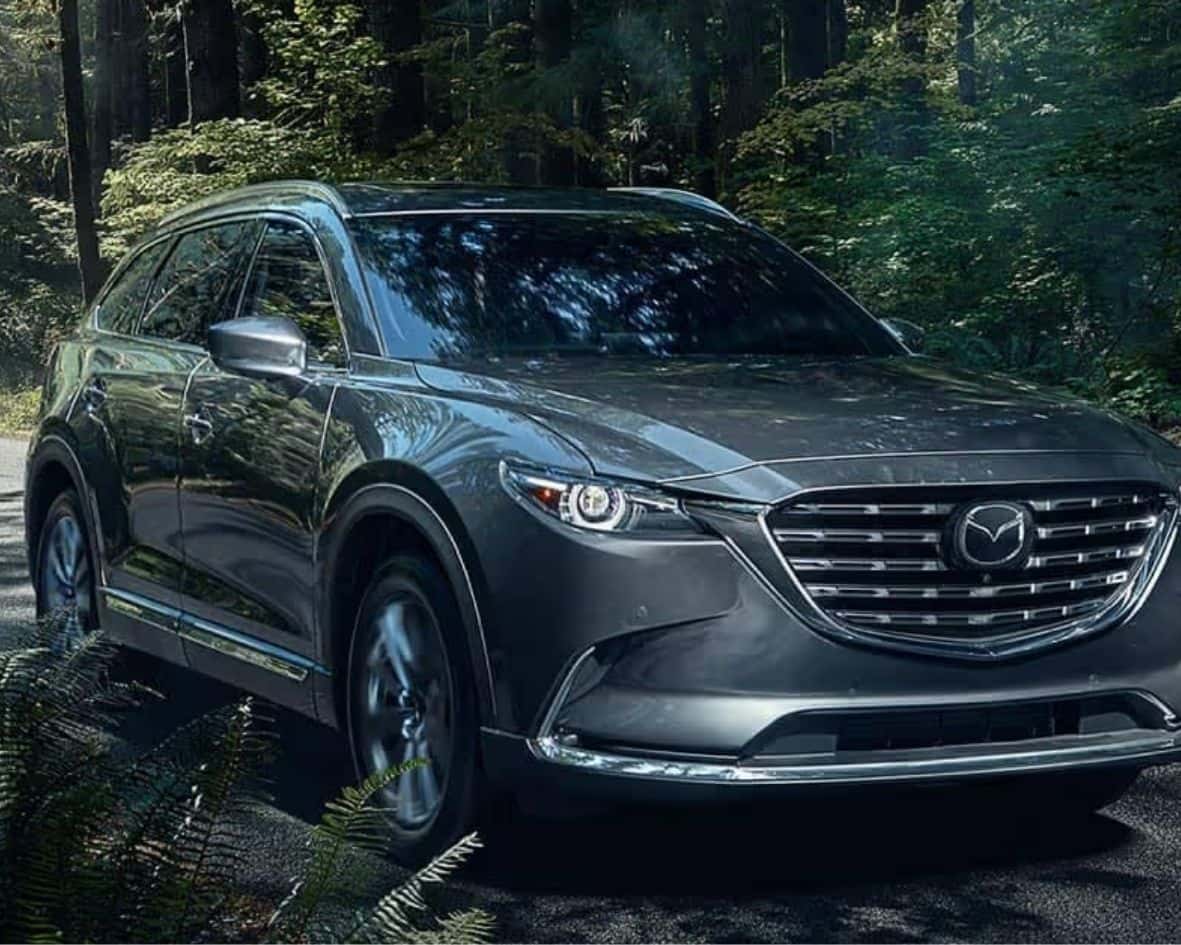 Certified-Pre-Owned-vs-Used-Mazda-Which-Is-Better-for-Elyria-Area-Shoppers