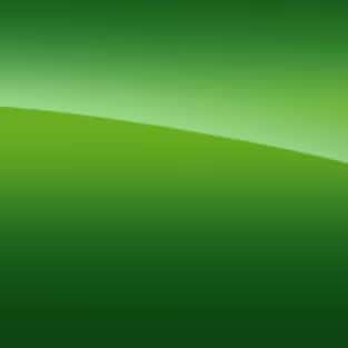 Roswell Green Metallic