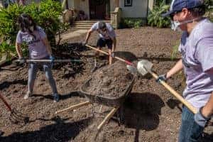 people volunteering by planting plants