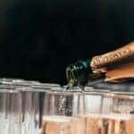 Pouring champagne at a New Years Eve event in Auburn, AL