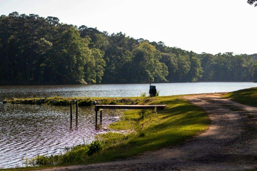 Pike Lake in Alabama, near a forest