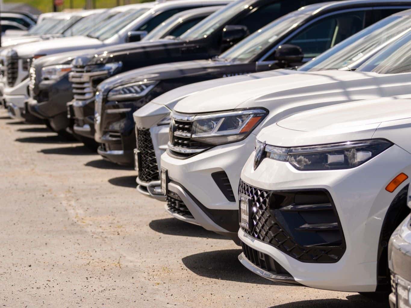 Used Volkswagen's and other vehicles on the Kalispell Volkswagen lot in the Flathead Valley