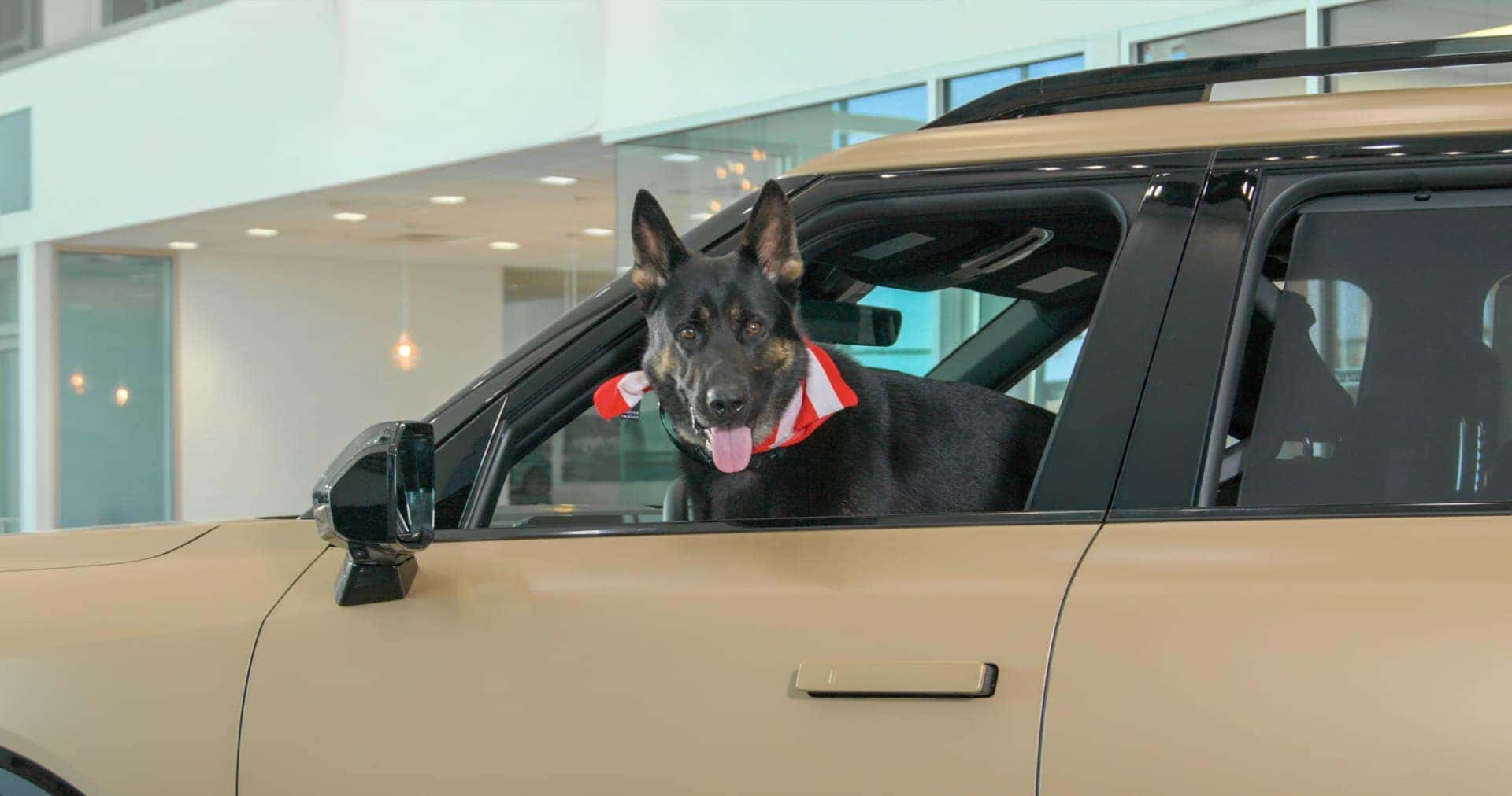 Kia Dealer near Me 