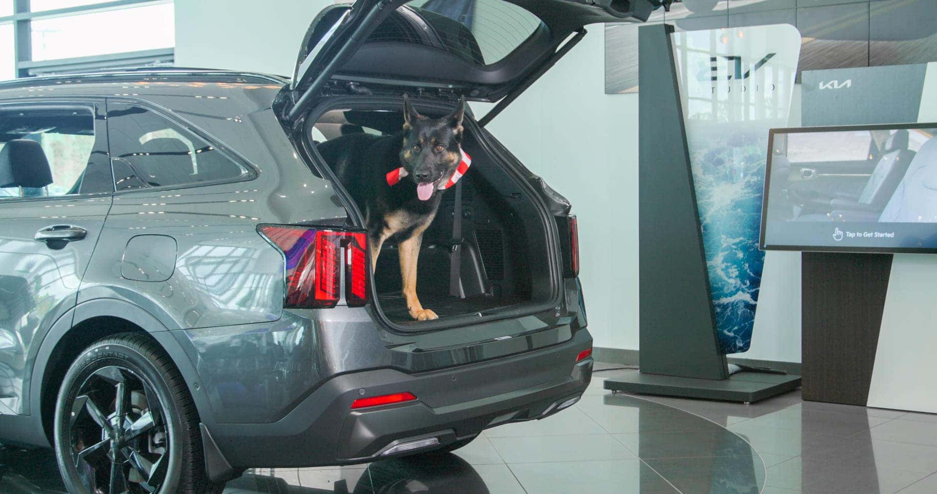 Pre-Owned Car Dealer near Me