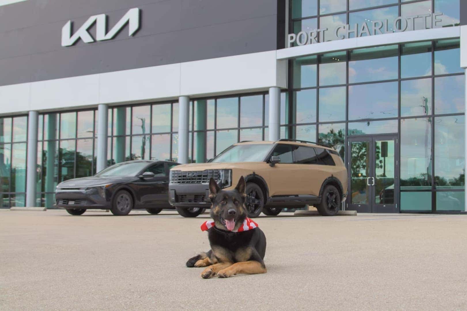 Kia Vehicles for Sale 