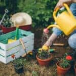 gardening
