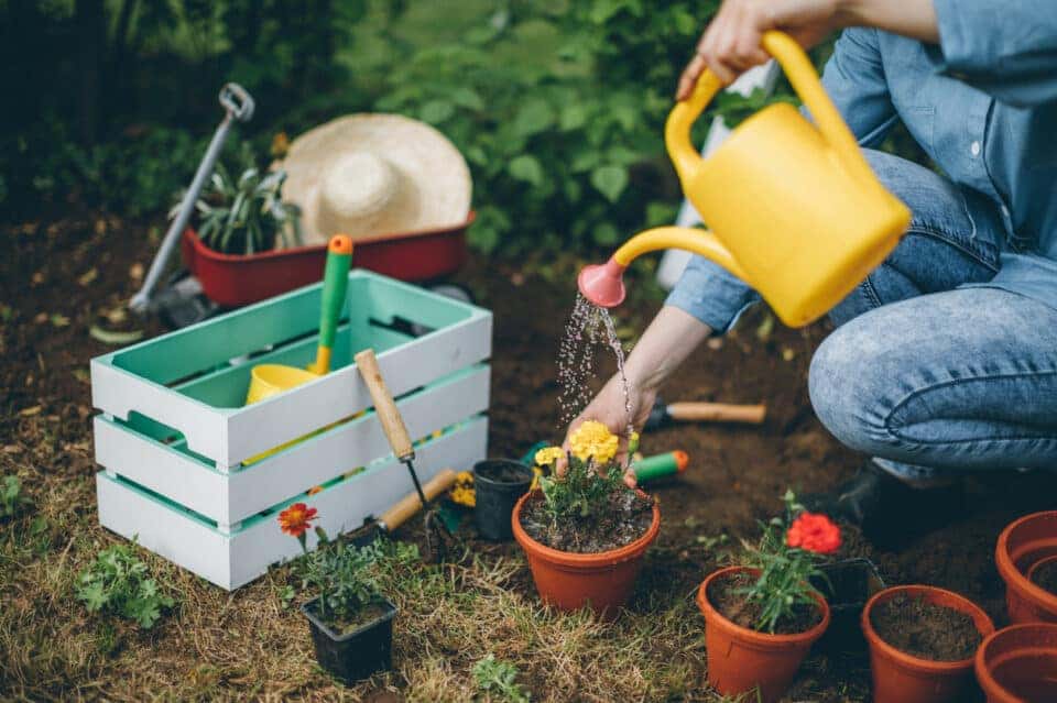 gardening
