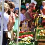 farmer market