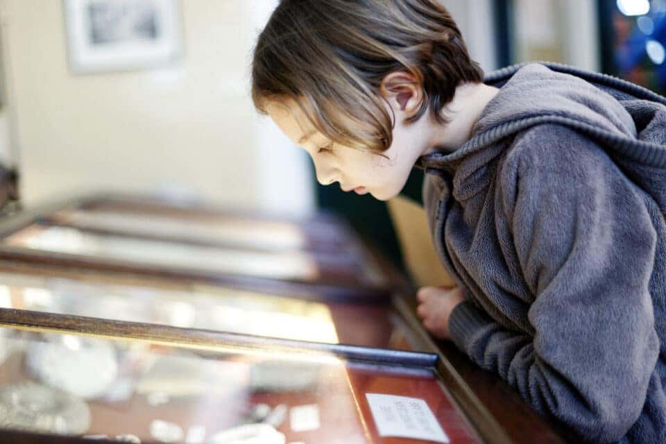 Museum display cabinet