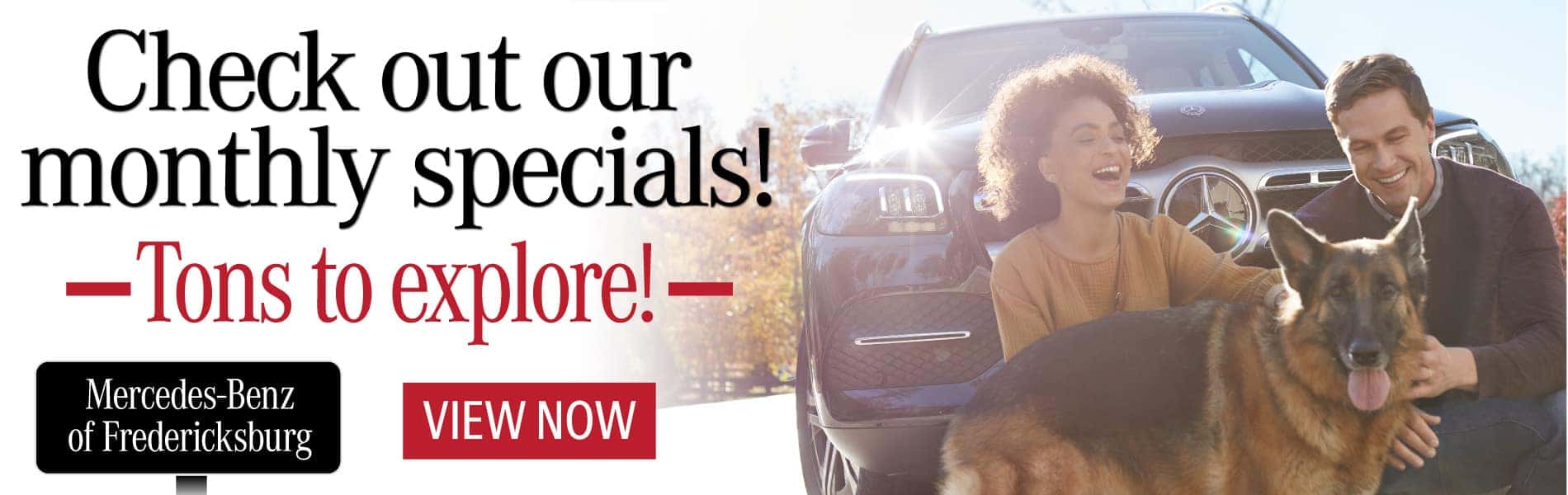 Check Out Our Monthly Specials