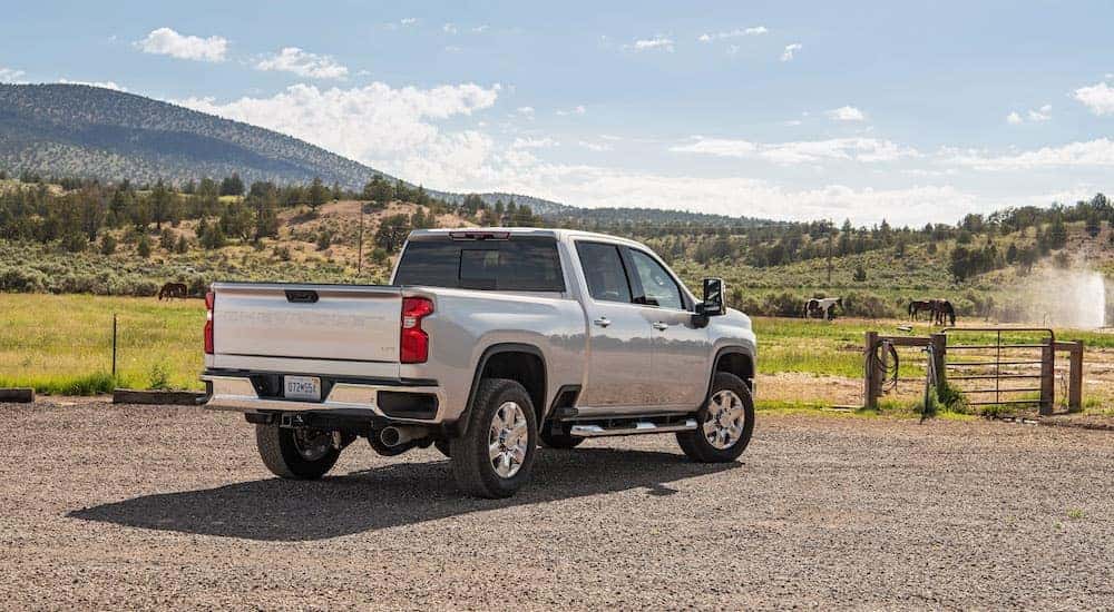 A silver 2023 Chevy Silverado 2500 HD parked in front of a field with grazing horses