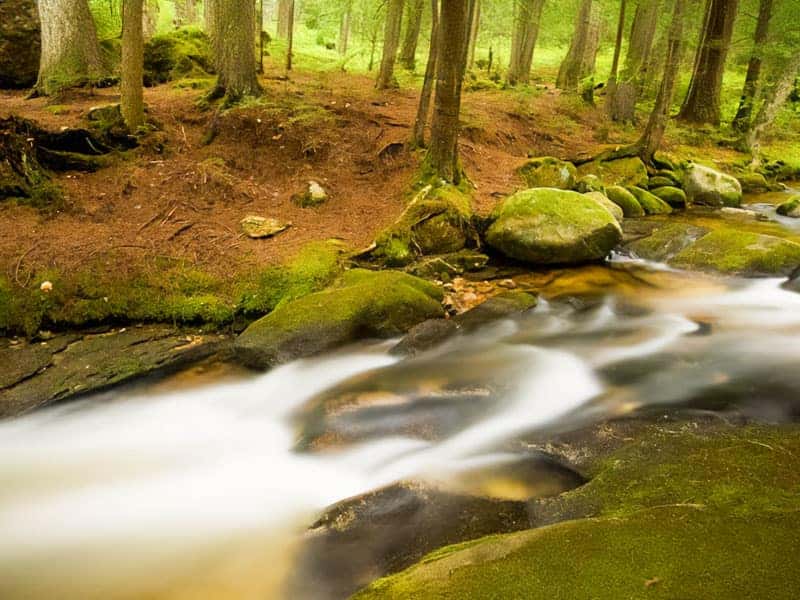 Moose Brook State Park
