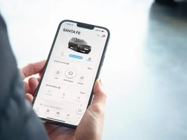 BlueLink+ Mobille Application