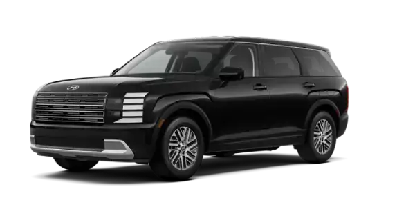 Palisade SE
