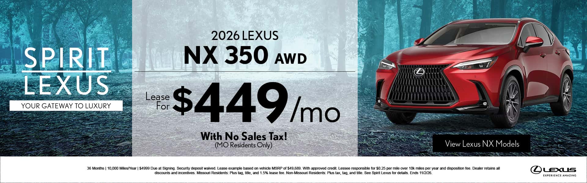 NX 350