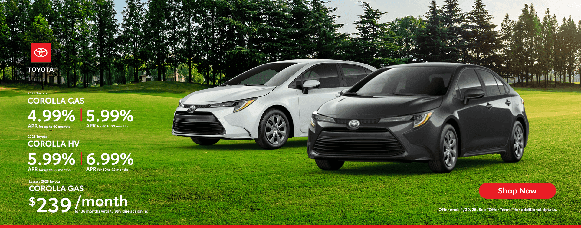 MSRLTY0425_Corollas_SL_1920x753