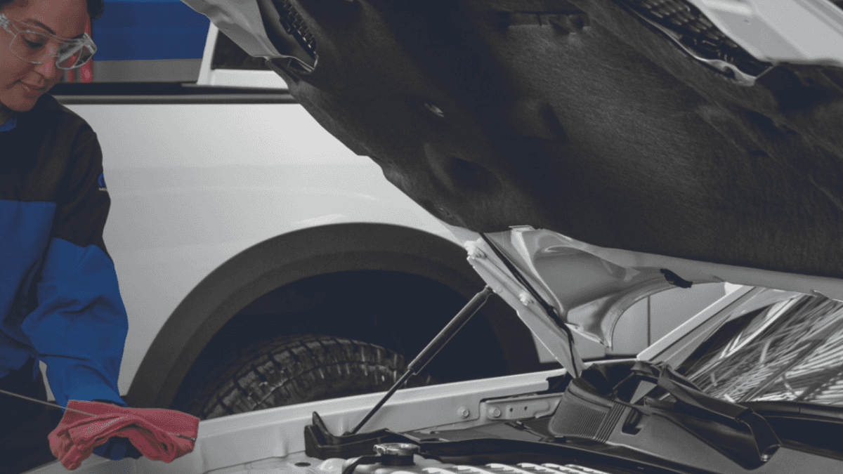 Oil Change Express Service in Williamsville, NY