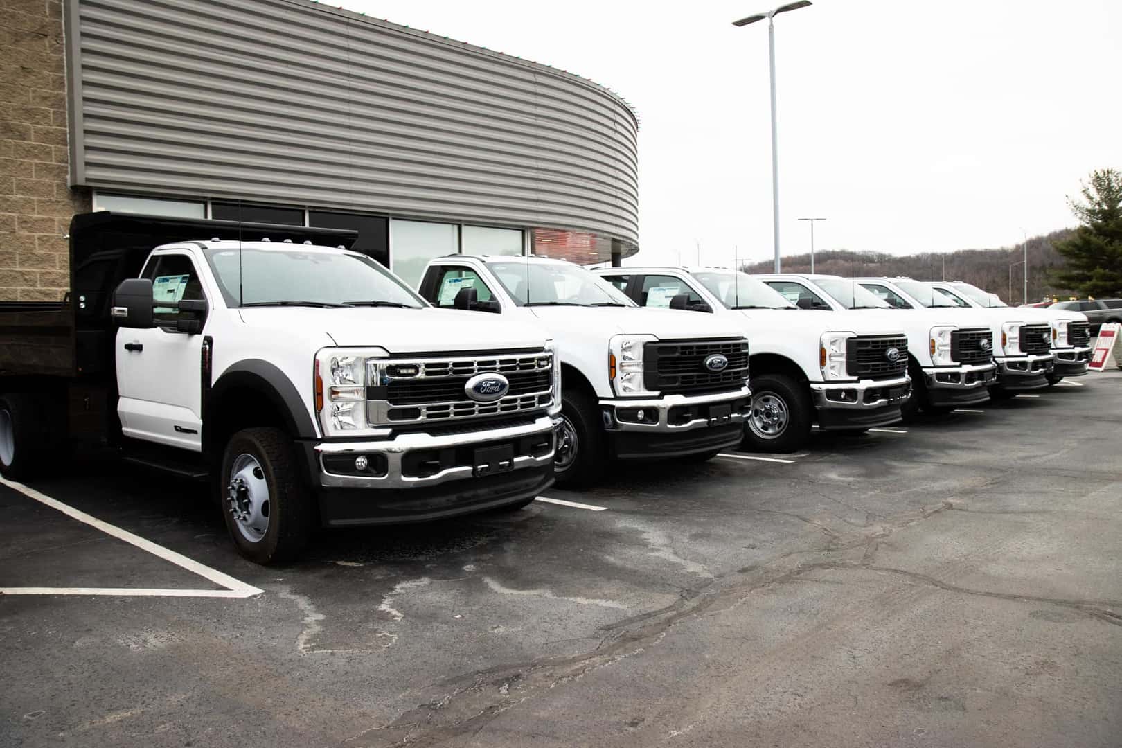 ford fleet