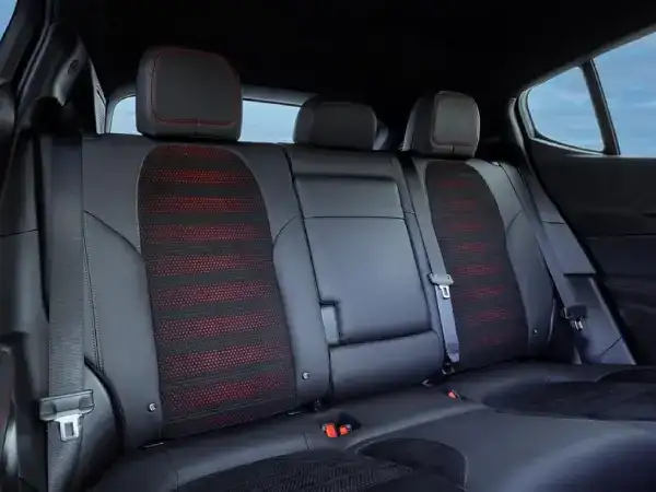 dodge hornet interior backseat