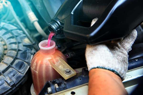 Coolant Flush