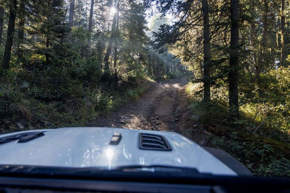 Jeep Wrangler vs Gladiator
